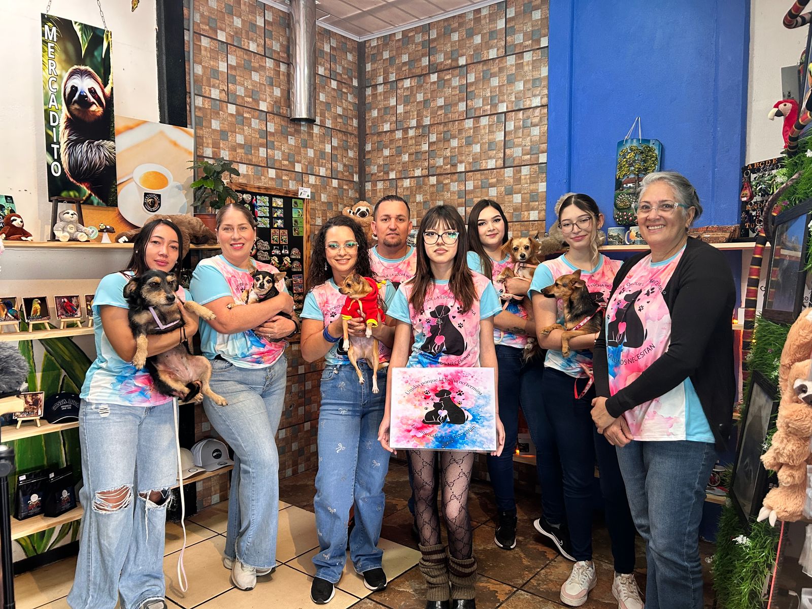 CatLand CasaCuna
